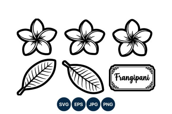 Frangipani Flower Line Art Graphics