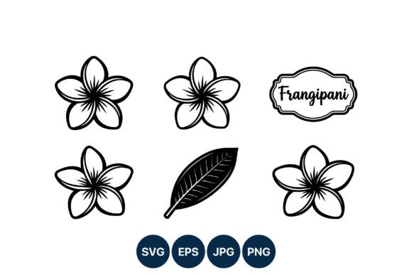 Frangipani Flower Line Art Vector Graphics